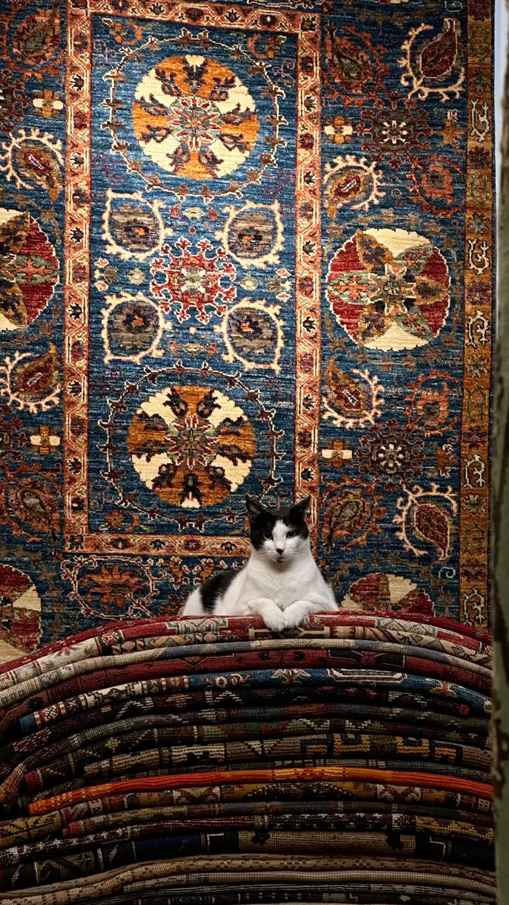 MİLLÎ BİR KARGAŞA